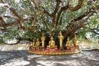 Vientiane's That Luang Stupa | Shining symbol of Laos