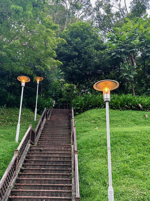 Singapore Dragon's Den | Fort Canning Park • Tree Hole Observatory 🌳 Hidden in the lush greenery