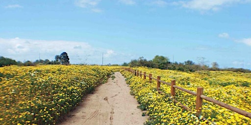 Bicycle Warehouse Chula Vista Monday Evening MTB Rides | Bicycle Warehouse Chula Vista