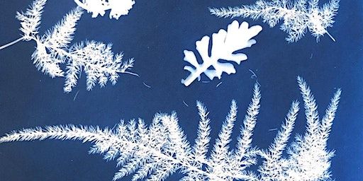 Wonderful Winter Sun Prints! | Armory Center For the Arts