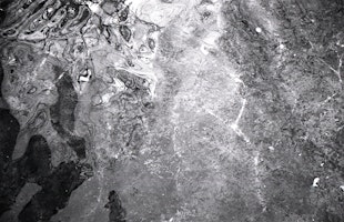 FLOOD IV: a text & sound workshop on the Thames Estuary | Two Tree Island