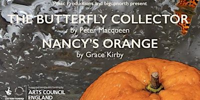 THE BUTTERFLY COLLECTOR and NANCY'S ORANGE | Humshaugh Village Hall