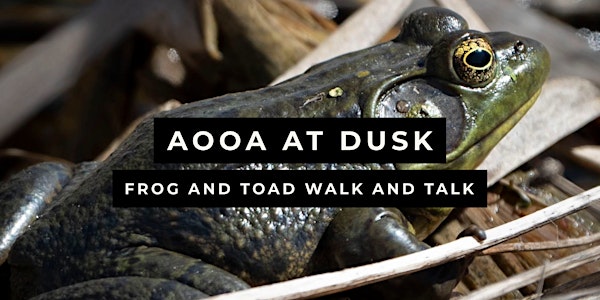 AOOA at Dusk: Frog and Toad Walk and Talk | All One One All Farm