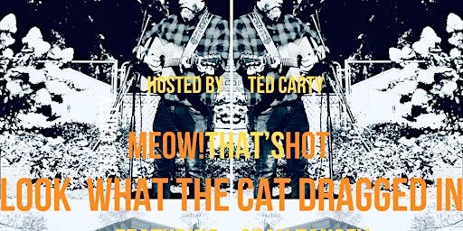 Look What The Cat Dragged In | Meow! That's Hot.