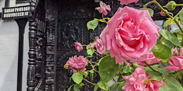 Rhosod drwy’r Oesau | Roses through Time | Plas Newydd, Llangollen