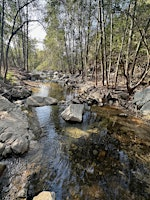 Forest Therapy Walk & Sound Bath | JPL Bridge, Altadena