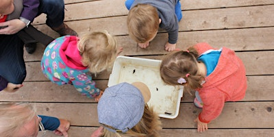 Dyke dipping at NWT Cley Marshes (24 July) | Cley Marshes Visitor Centre