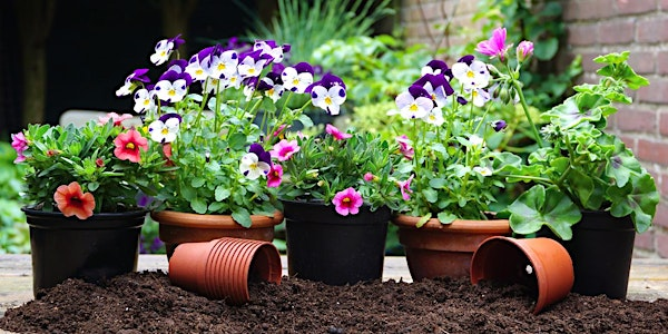 Summer Splendor Container Workshop at Division | Portland Nursery Division