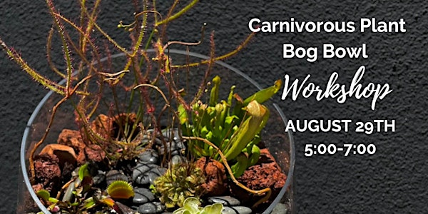 Carnivorous Plant Bog Bowl Workshop | Exotic Plants Ltd