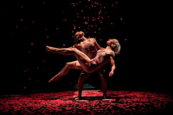 Master Class: PILOBOLUS - Heinz Poll Summer Dance Festival | Guzzetta Hall at The University of Akron