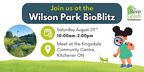 Wilson Park BioBlitz | Kingsdale Community Centre