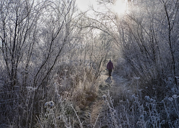 Winter Tree Identification Workshop - Nature Discovery Centre, Sunday 22 February | Nature Discovery Centre