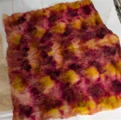 Lliwio Ffabrigau Naturiol / Natural Fabric Dyeing (6-10) | Plas Glyn y Weddw Gallery