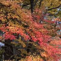 山形 立石寺