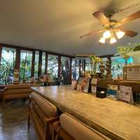 Chico cafe ร้านคาเฟ่แมวย่านทองหล่อ
