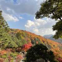 화담숲에서 자연을 느껴요