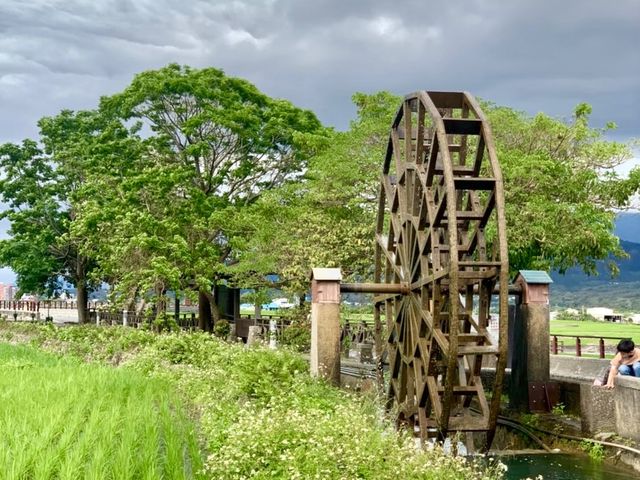 花蓮熱門旅遊景點｜伯朗大道，和我一起騎腳踏車兜風吧🤩