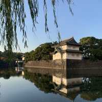 皇居外苑&東御苑