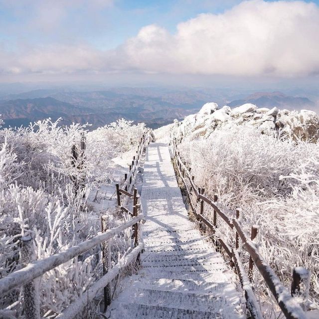 Wrapped Snow at Deogyusan Mountain 🌨❄️☃️🏂