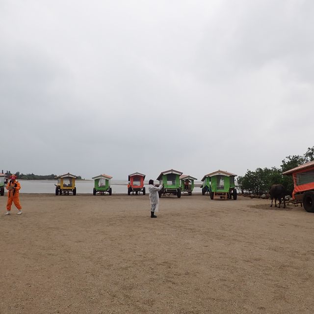 【沖縄･由布島】水牛車で海を渡って辿り着く島🐃