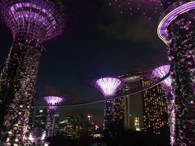 新加坡- GARDENS BY THE BAY 