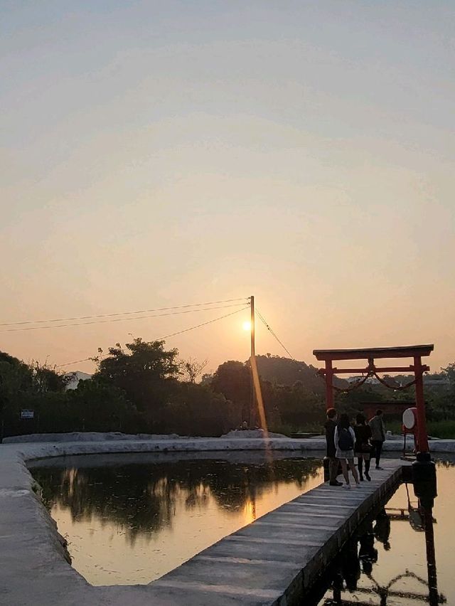 偽日本一日遊。信芯園農莊 Shun Sum Yuen Farm