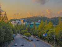 성남 산책하기 좋은 공원 :: 율동공원