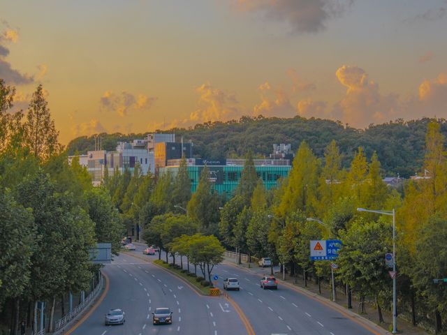 성남 산책하기 좋은 공원 :: 율동공원