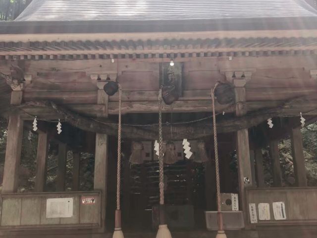 【熊本県】一度は見たい絶景神社でパワーチャージ⛩
