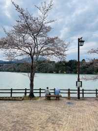 恵那峡でお花見