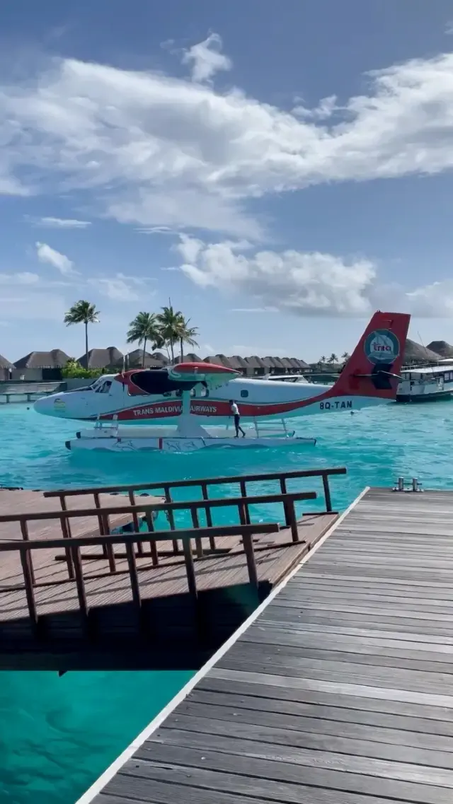 See Seaplane on Sea 