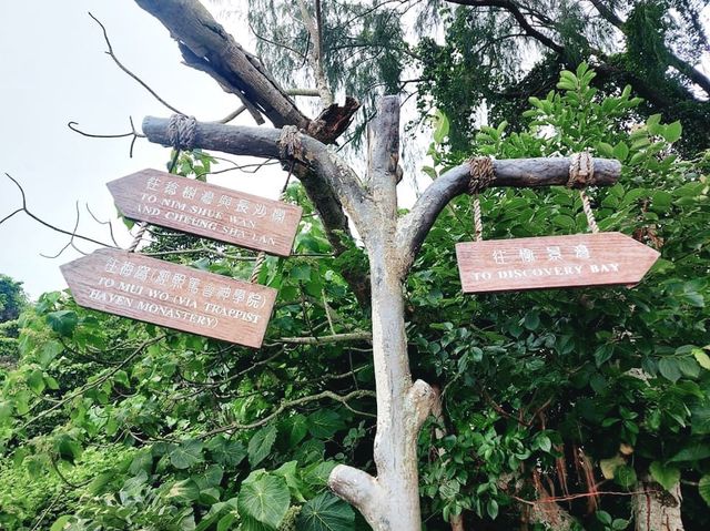 愉景灣行山路線