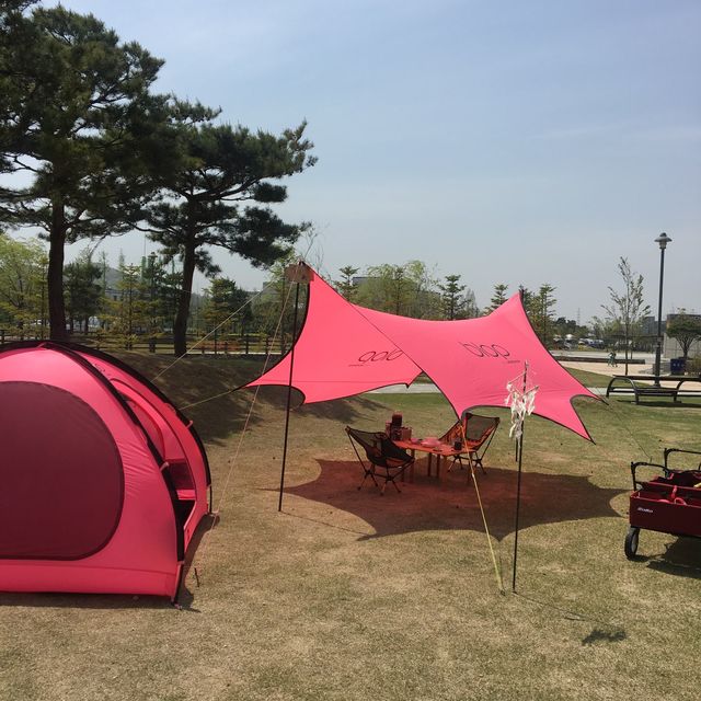 도심 속의 캠핑, ⛺️천안 신방공원에서 반려견과 즐기는 여름 소풍