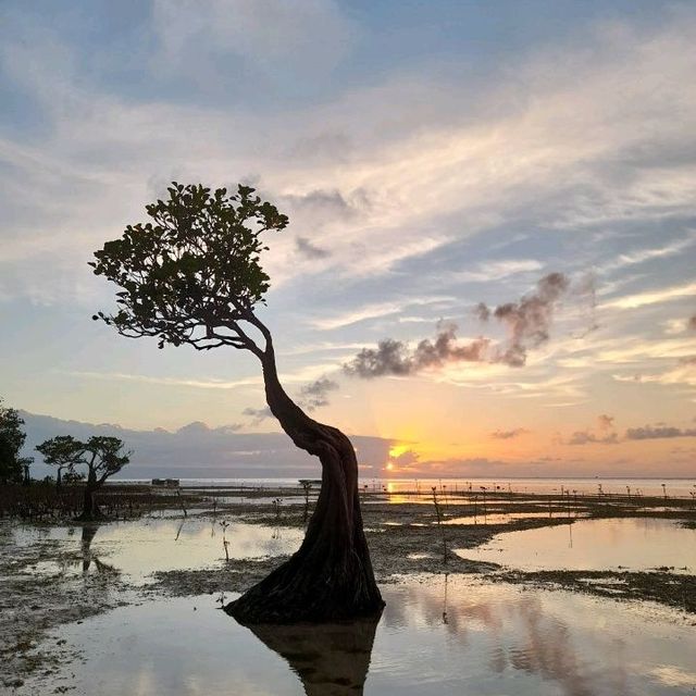 The Walakiri Beach, West Sumba NTT