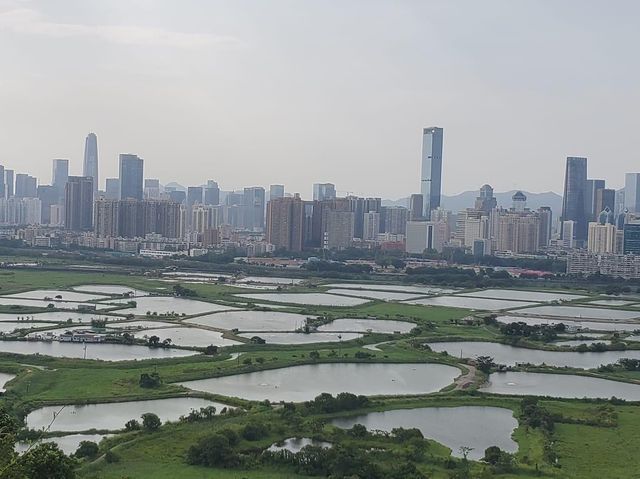 馬草壟村郊遊