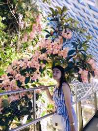 สวนสวยติดแอร์ที่สวยที่สุดในโลก🍃🌿