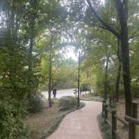 Best botanical garden in Seoul