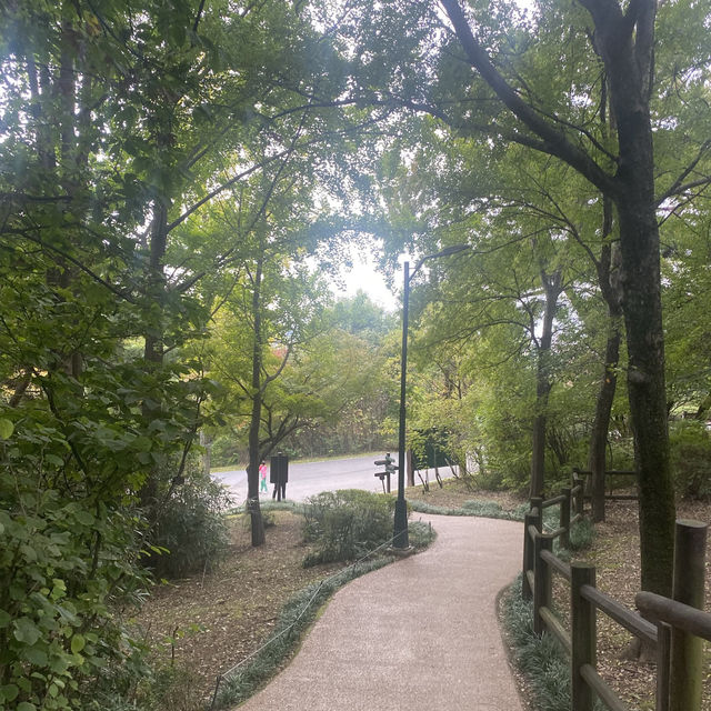 Best botanical garden in Seoul