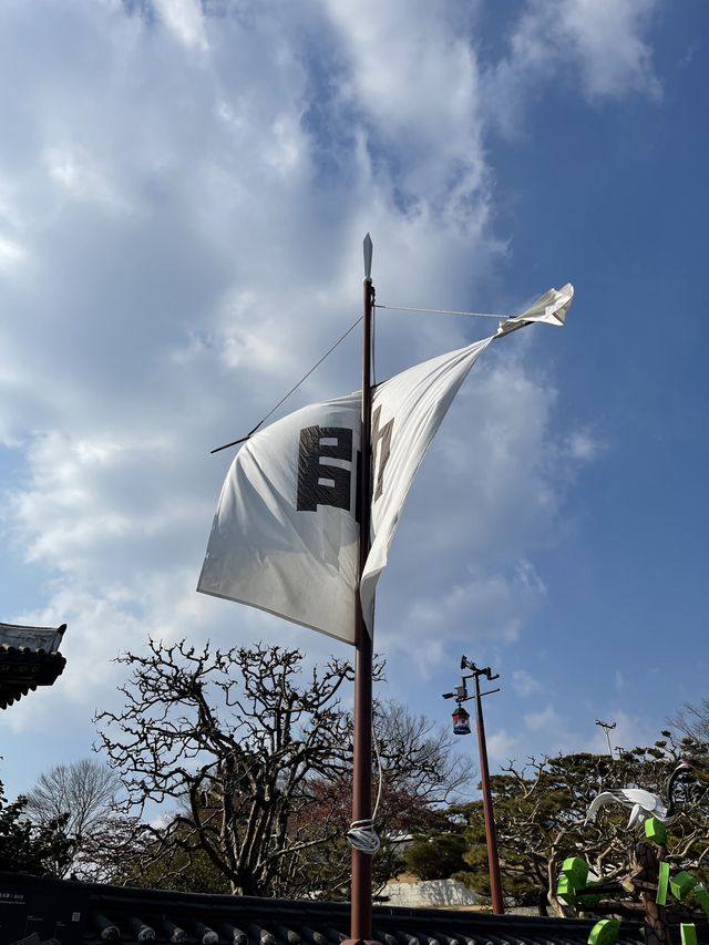 진주성으로 피크닉 다녀오기 🧺