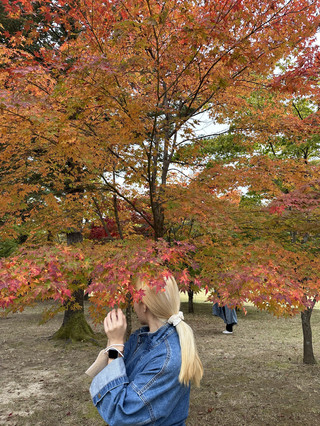 단풍은 가평 남이섬에서🍁🍂