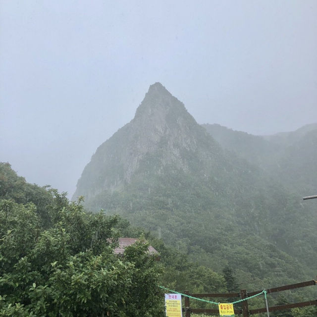 비오는날 한라산 갈수있을까요?
