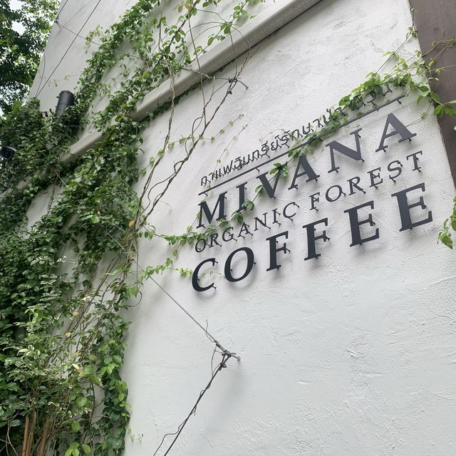 Organic Coffee Cafe in Bangkok