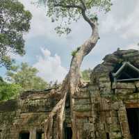 Angkor Wat Compley 163 Hectar