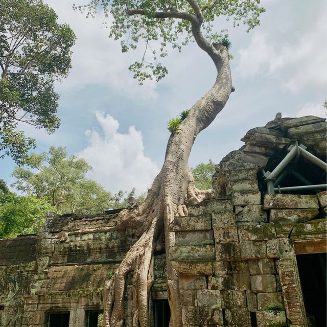 Angkor Wat Compley 163 Hectar