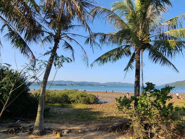 【CP值最高的紅樹林~泥涌🌴】