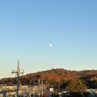 輕井澤嘅紅葉