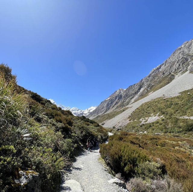 Hooker Valley Tracking Is For Everyone!