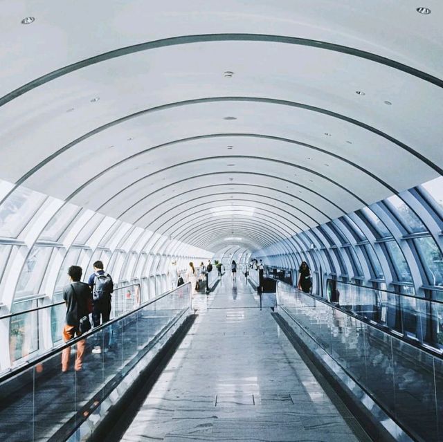 📍 SINGAPORE Changi Airport 