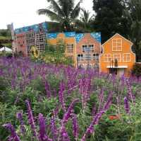 Sirao Flower Garden (Mini Amsterdam)