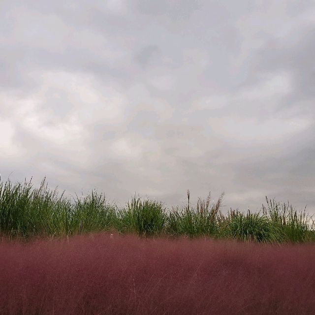 가을이 시작하는 곳, 을숙도
